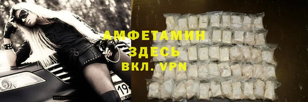 СК Снежногорск