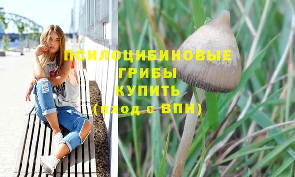 стафф Снежинск