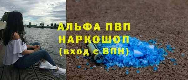 СК Снежногорск